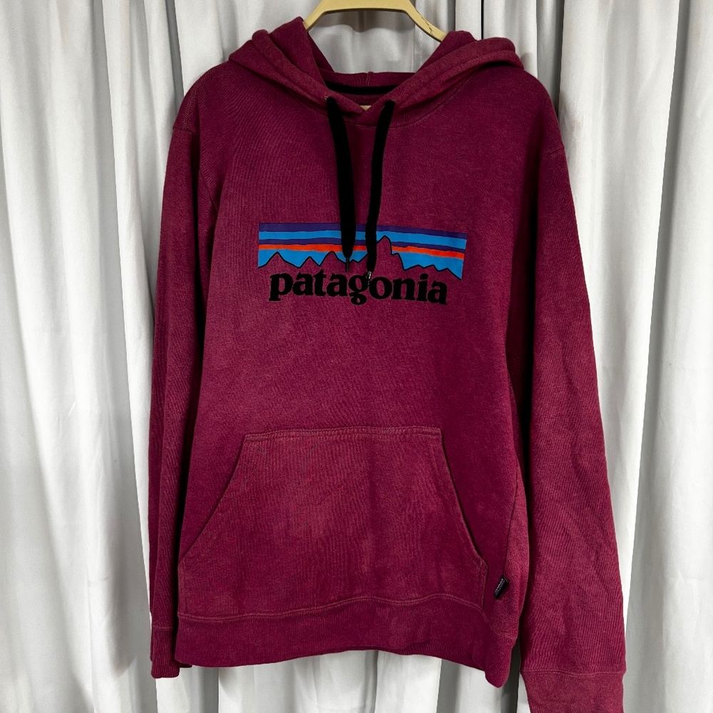Patagonia hoodie ll